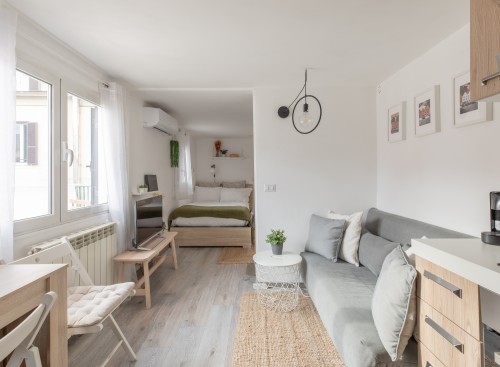 Opera Penthouse with Terrace #2